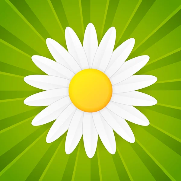 Frühlingsblume Gänseblümchen Vektor Symbol — Stockvektor