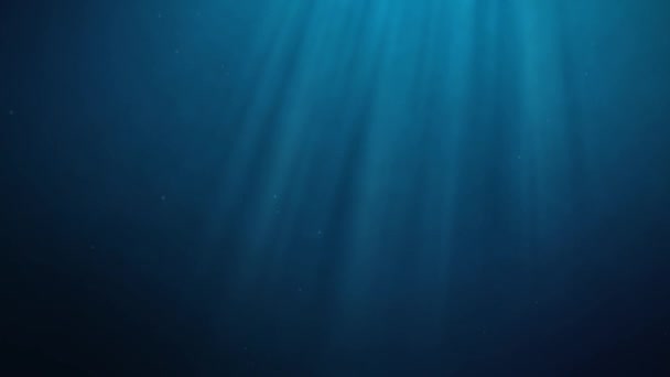 Seamless loop underwater scene — Stock Video