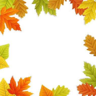 Fall vector leaf border