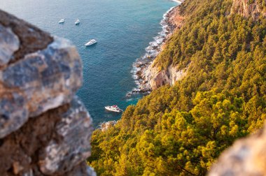 Alanya 'nın deniz doğası.