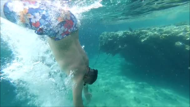 Snorkeling Red Sea — Stock Video
