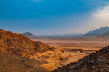 Sina Çölü. Sina Çölü 'nün doğa ve sakinleri..