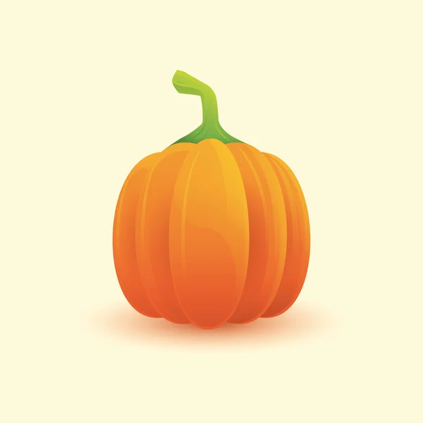 Ripe Pumpkin — Stock Vector