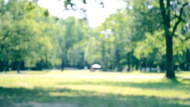 Paisaje del campamento en el parque — Vídeos de Stock