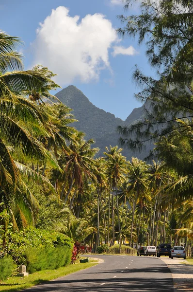 Camino en Moorea Fotos de stock