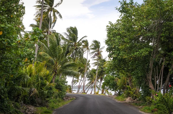 Camino tropical — Foto de Stock