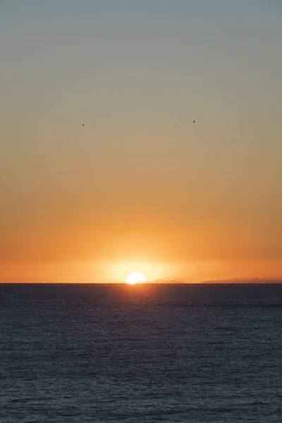Sole Che Sorge Sull Orizzonte Del Mare Con Gli Uccelli — Foto Stock