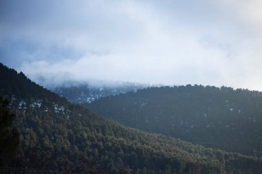 Gün batımında bir sürü ağaç, kar ve sis olan dağlar.