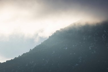 Gün batımında bir sürü ağaç, kar ve sis olan dağlar.