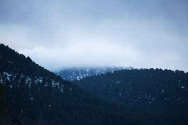 Gün batımında bir sürü ağaç, kar ve sis olan dağlar.