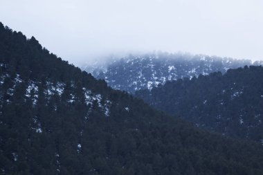 Gün batımında bir sürü ağaç, kar ve sis olan dağlar.
