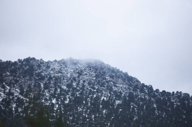 Gün batımında bir sürü ağaç, kar ve sis olan dağlar.