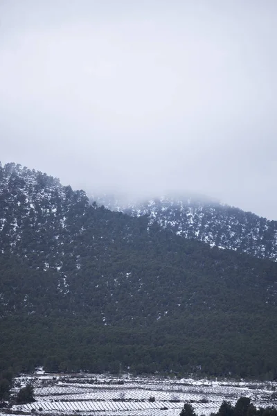 Montañas Con Muchos Árboles Nieve Niebla Una Puesta Sol — Foto de Stock