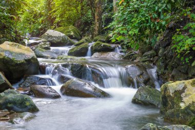 Derin yağmur ormanları orman (Krak E Dok şelale Serab şelale