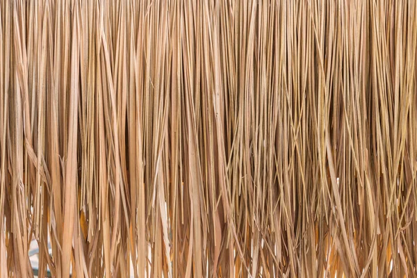 Cepillo de cerdas de cerca — Foto de stock © leonkenig #4706191