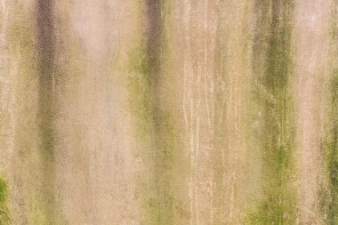 Çimento-Beton Sanayi duvar doku mantar için arka plan ile yüzey