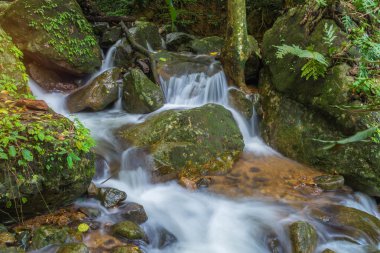 Derin yağmur ormanları orman (Krak E Dok şelale Serab şelale