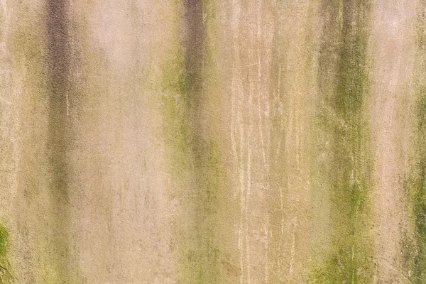 Çimento-Beton Sanayi duvar doku mantar için arka plan ile yüzey