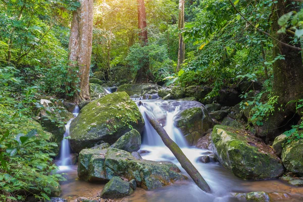 Air terjun di hutan hujan dalam (Krok E Dok Waterfall Sarab — Stok Foto