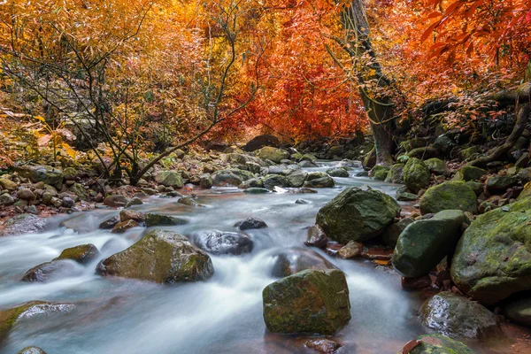 Cascata nella giungla profonda foresta pluviale (Krok E Dok cascata Sarab — Foto Stock