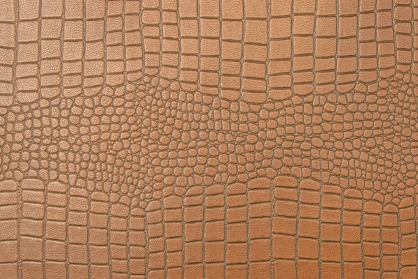 Skin of Crocodile texture pattern for background — Stock Photo, Image