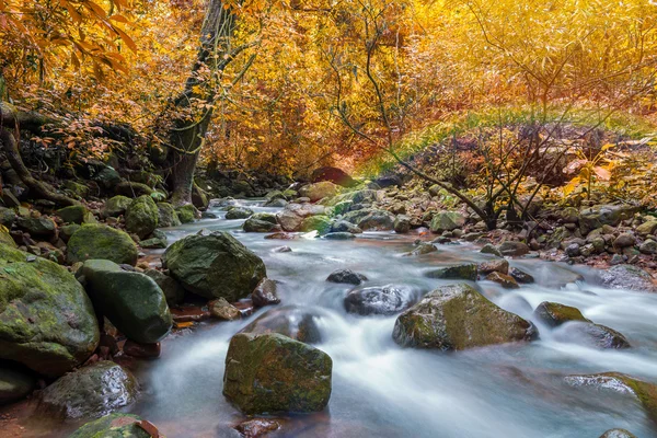 Cascata nella giungla profonda foresta pluviale (Krok E Dok cascata Sarab — Foto Stock