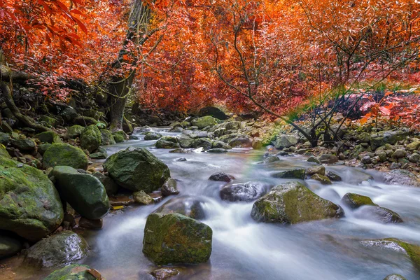 Vodopád v džungli hluboký deštný prales (Krok E Dok vodopád Zdeněk — Stock fotografie