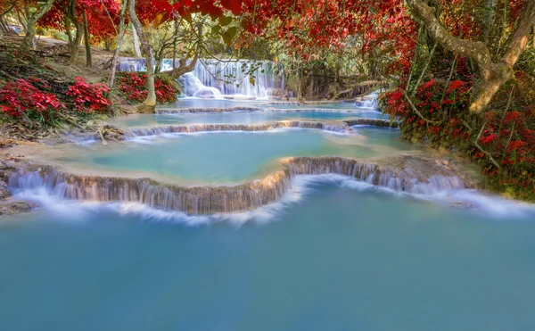 Vattenfall i regnskogen (Tat Kuang Si Waterfalls på Luang Gitte — Stockfoto