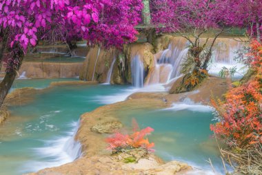 Şelale (Tad Sae şelaleler Luang prabang, L, yağmur ormanlarında