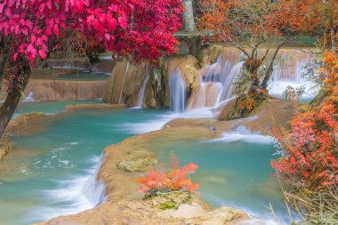 Şelale (Tad Sae şelaleler Luang prabang, L, yağmur ormanlarında