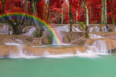 Şelale (Tad Sae şelaleler Luang prabang, L, yağmur ormanlarında