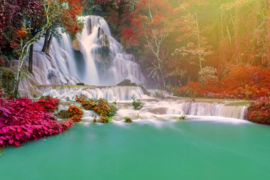 Şelale (Tat Kuang Si Waterfalls Luang praba, yağmur ormanlarında