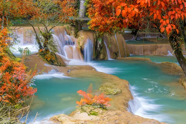 Waterfall in rain forest (Tad Sae Waterfalls at Luang prabang, L — Stock Photo, Image