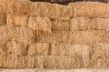 kırsal manzara saman veya saman balya yığını