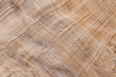 ahşap desen tasarım veya arka plan ağaç doku