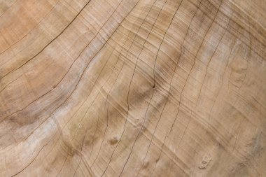 ahşap desen tasarım veya arka plan ağaç doku