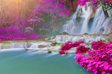 Şelale (Tat Kuang Si Waterfalls Luang praba, yağmur ormanlarında