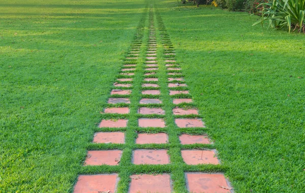 Stenen gångväg i trädgården med grönt gräs — Stockfoto