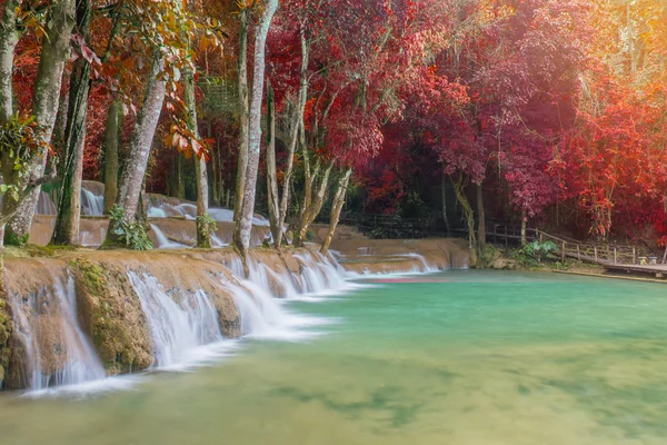 Vattenfall i regnskogen (Tad Sae vattenfall på Luang prabang, L — Stockfoto