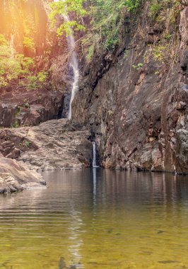 Derin yağmur ormanları orman Tayland şelale
