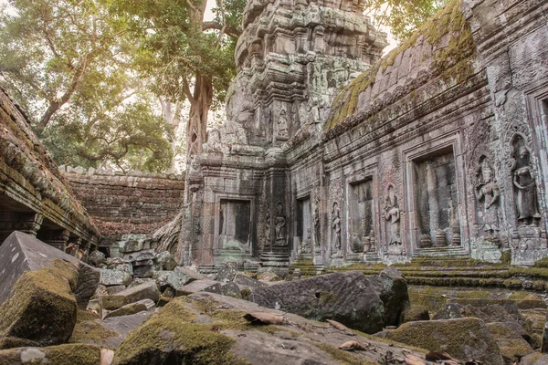 Taphom kale veya Prasat Ta Prohm tapınakta Angkor, siem biçmek C
