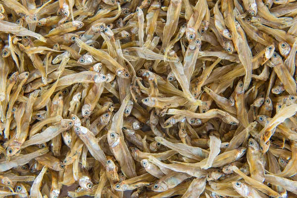 Suszona mała ryba sardela używane w kuchni azjatyckiej — Zdjęcie stockowe