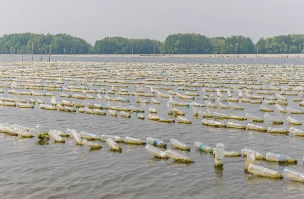 Ferme conchylicole de vieilles bouteilles en plastique en mer à Chanthaburi, T — Photo
