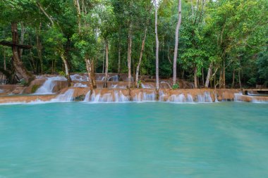 Şelale (Tad Sae şelaleler Luang prabang, L, yağmur ormanlarında