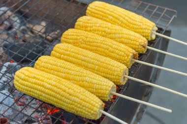 ızgara mısır burns bir piyasa ahır ocakta