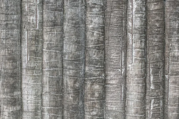 Texture of coconut or palm tree bark for background — Stock Photo, Image