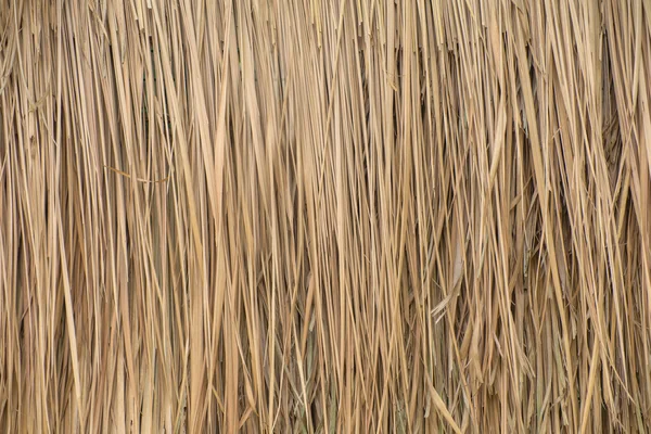 Thatch roof background, hay or dry grass background — Stock Photo, Image
