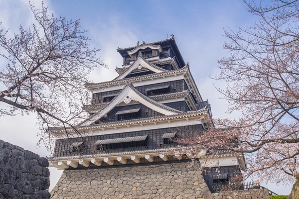 Kumamoto Castle with sakura or Cherry Blossoms — Stock Photo, Image