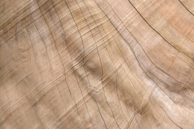 ahşap desen tasarım veya arka plan ağaç doku