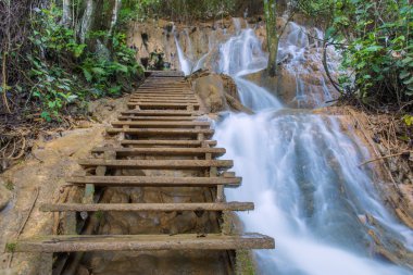 Ahşap Merdiven basamakları Tat Kuang Si Luang prabang, Laos